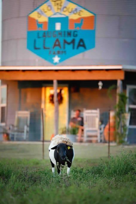 Silo House At Laughing Llama Farm Troy Exterior foto